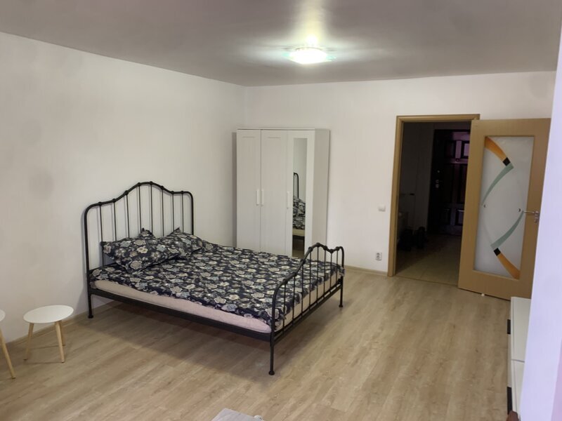 Titan Piata Minis, Costin Georgian, Constantin Brancusi