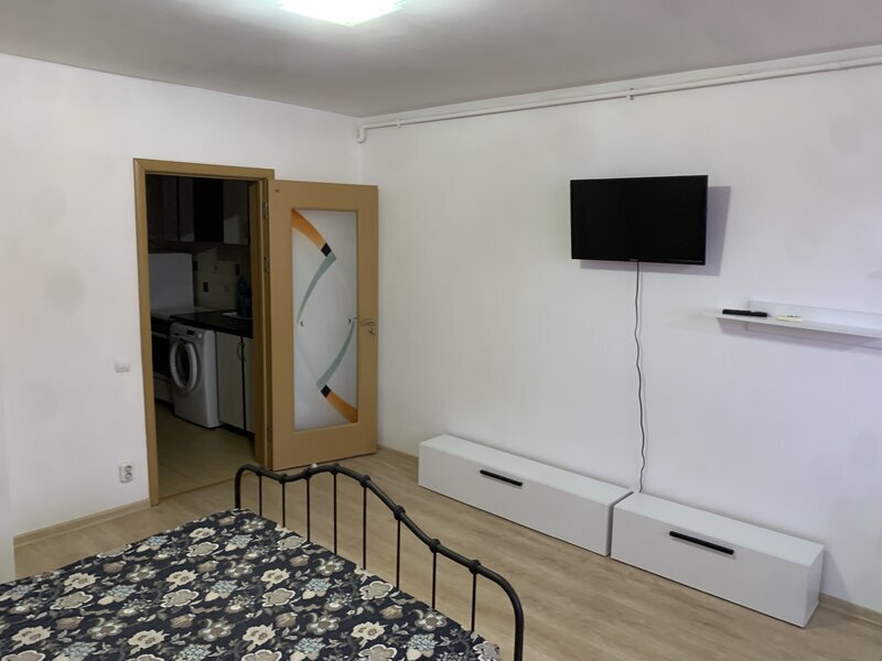 Titan Piata Minis, Costin Georgian, Constantin Brancusi