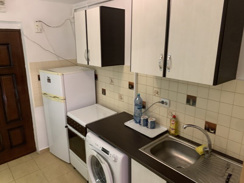 Titan Piata Minis, Costin Georgian, Constantin Brancusi