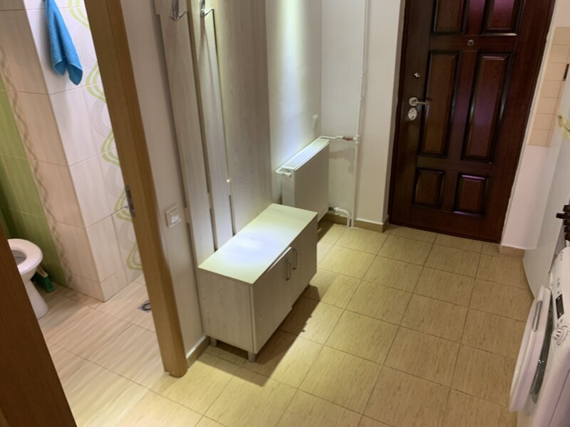 Titan Piata Minis, Costin Georgian, Constantin Brancusi