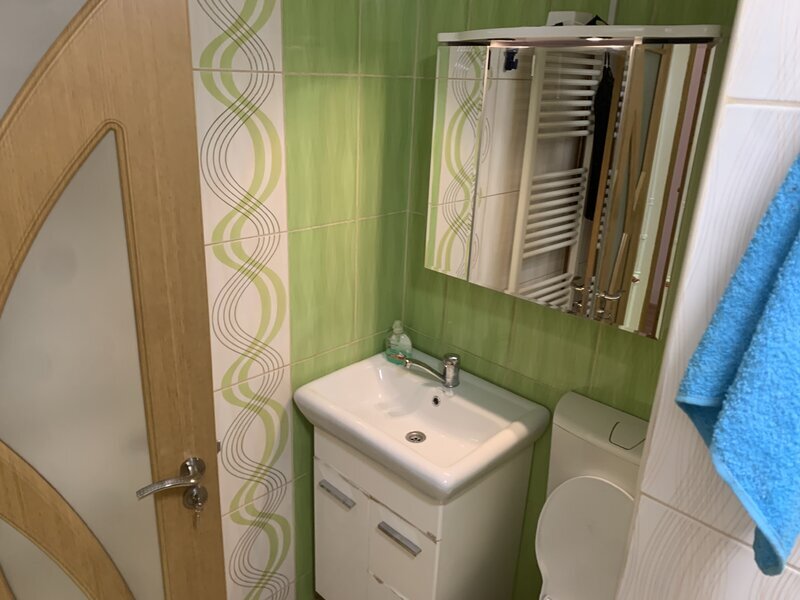 Titan Piata Minis, Costin Georgian, Constantin Brancusi