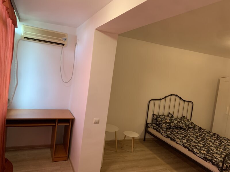 Titan Piata Minis, Costin Georgian, Constantin Brancusi