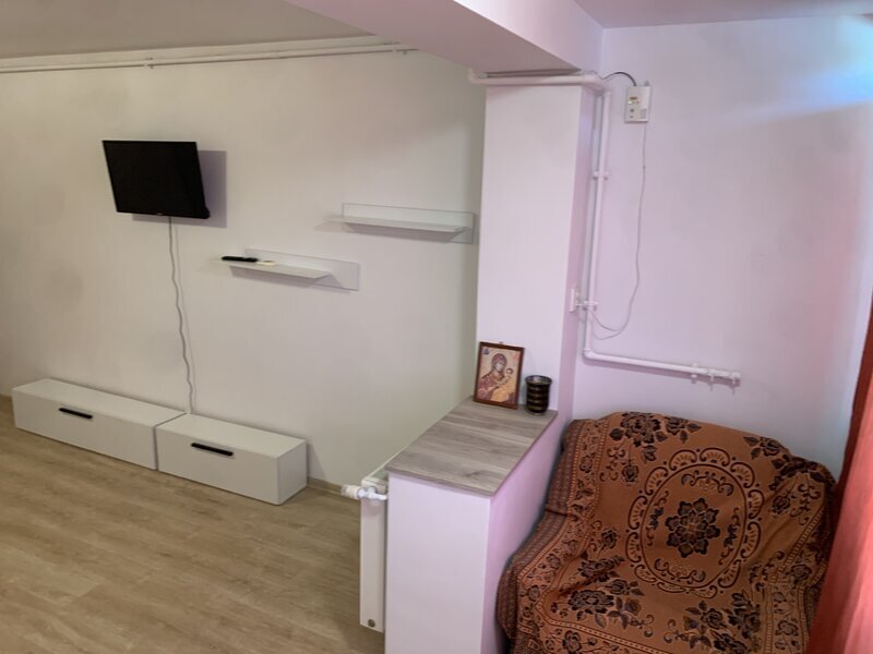 Titan Piata Minis, Costin Georgian, Constantin Brancusi