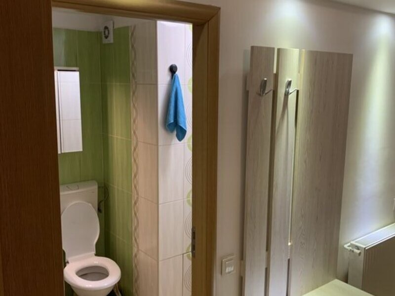 Titan Piata Minis, Costin Georgian, Constantin Brancusi