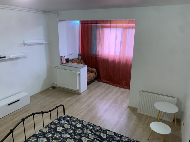 Titan Piata Minis, Costin Georgian, Constantin Brancusi